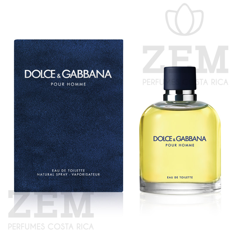 Perfumes Costa Rica Pour Homme Dolce & Gabbana 125ml EDT
