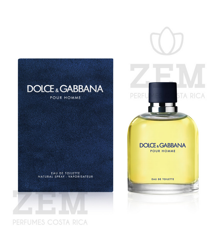 Dolce Gabbana Pour Homme - ZEM Perfumes Costa Rica
